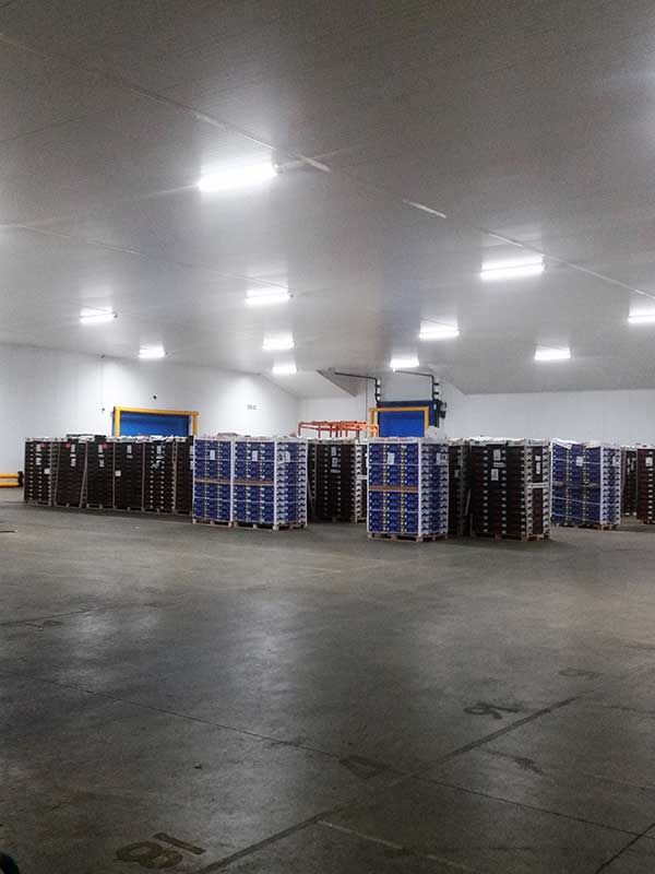 emergency lighting installation